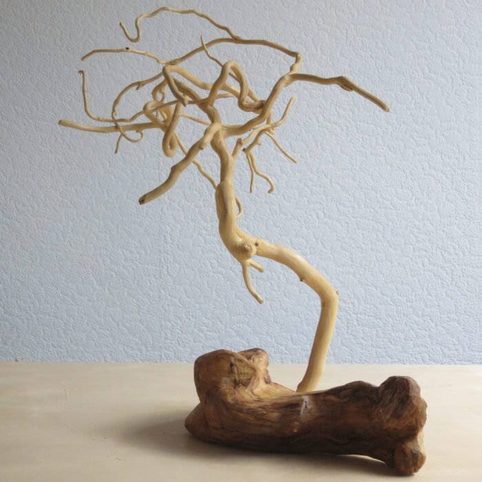 Driftwood base and Ivy An unusual combination of driftwood and Ivy hand crafted and natural.