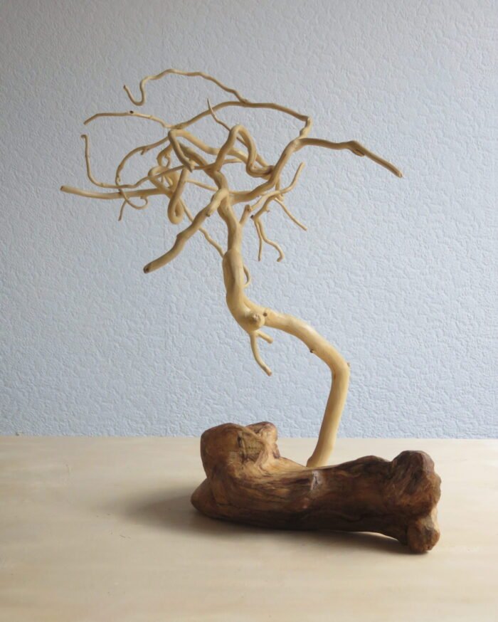 Driftwood base and Ivy An unusual combination of driftwood and Ivy hand crafted and natural.