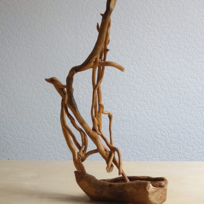 Ivy and hardwood An ivy and hardwood handcrafted creation naturally shaped and coloured.