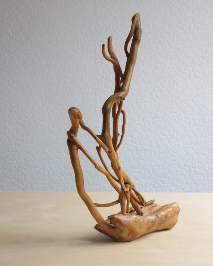 Ivy and hardwood Handcrafted, naturally shaped Ivy and hardwood sculpture.