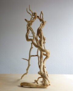Viewed from any angle this sculpture is striking Handcrafted Ivy wood that has grown naturally into its unique form.