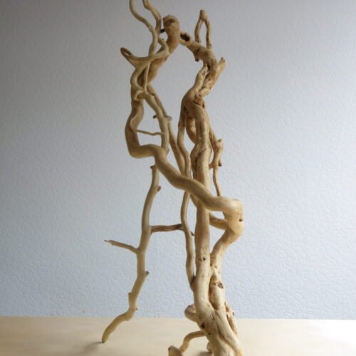 Viewed from any angle this sculpture is striking Handcrafted Ivy wood that has grown naturally into its unique form.