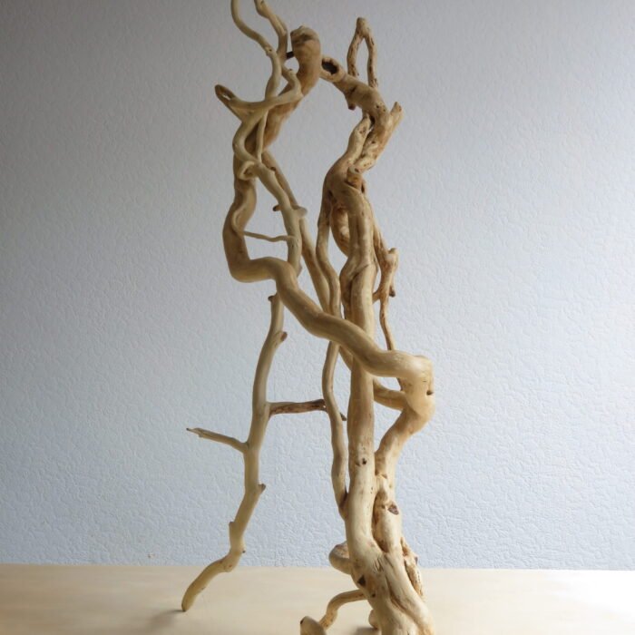 Lantern Holder. Viewed from any angle this sculpture is striking Handcrafted Ivy wood that has grown naturally into its unique form.