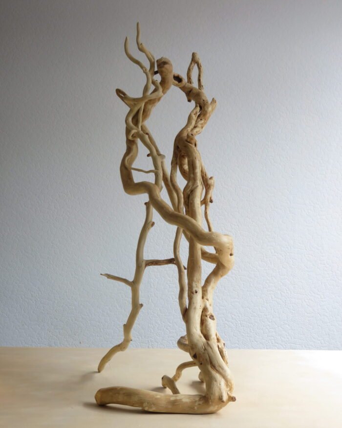 Lantern Holder. Viewed from any angle this sculpture is striking Handcrafted Ivy wood that has grown naturally into its unique form.