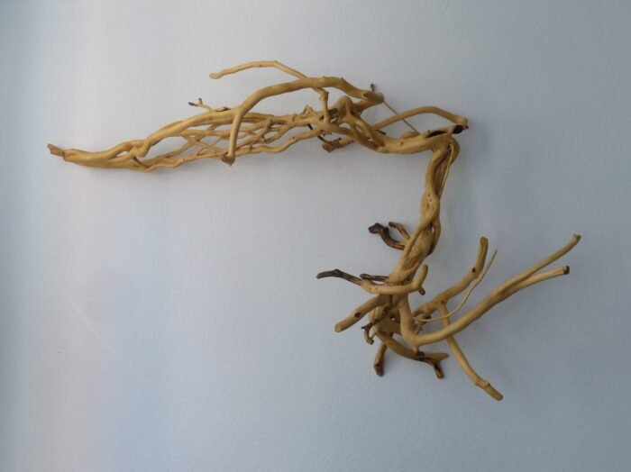 Wall hanging indoor or outdoor. A striking single piece of Ivy wood, Handcrafted sculpture that you can choose its orientation.