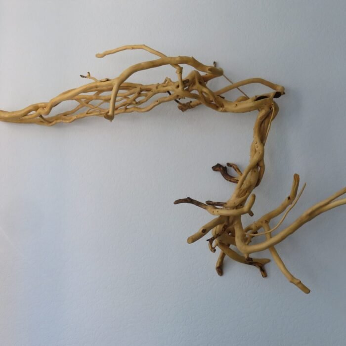 Wall hanging indoor or outdoor. A striking single piece of Ivy wood, Handcrafted sculpture that you can choose its orientation.