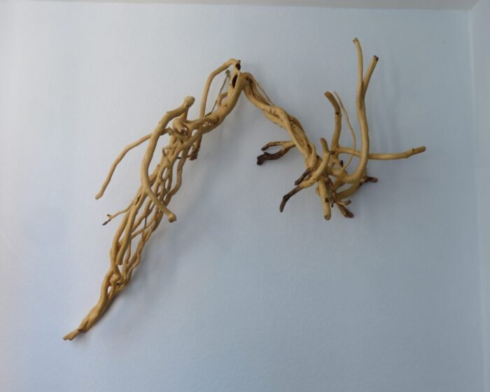 Wall Hanging A Natural Handcrafted Ivy Sculpture.