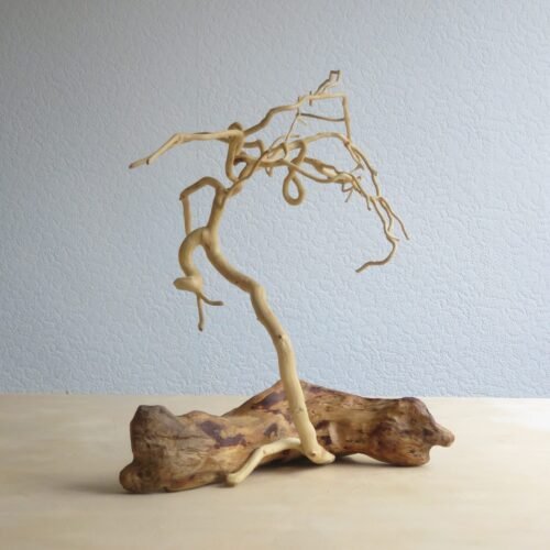 A one-of-kind sculpture crafted by joining Ivy onto a driftwood base.