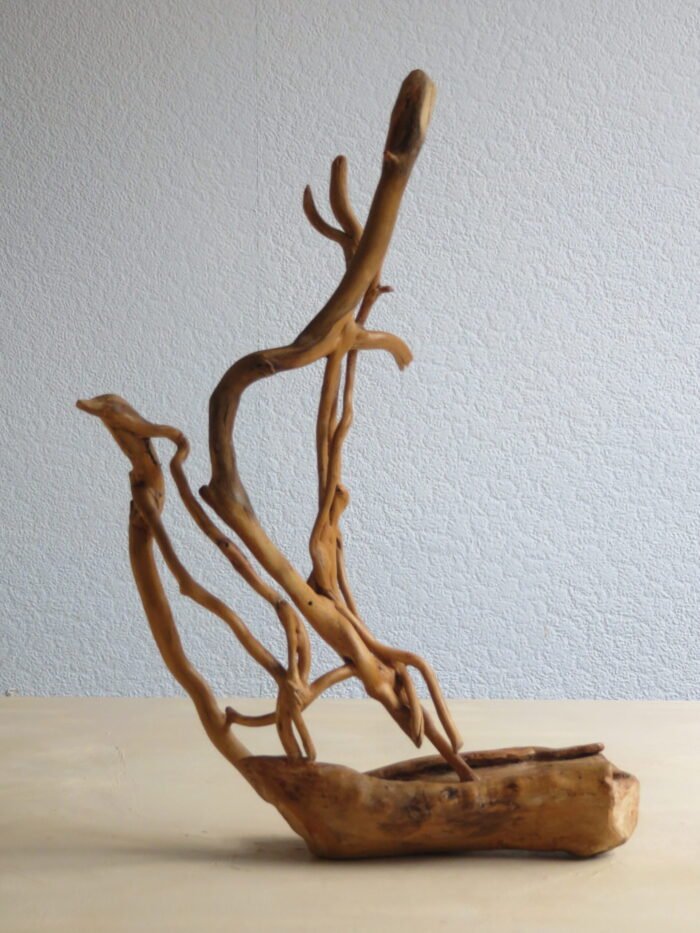 Hardwood and Ivy boat Handcrafted sculpture, artfully combing ivy and naturally formed hardwood rescued from a log pile. Truly Wabi Sabi.