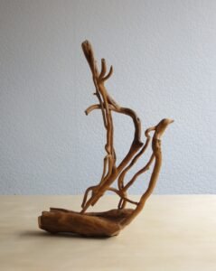Hand crafted Ivy set into a hardwood base.for an unusual wabi -sabi type combination.
