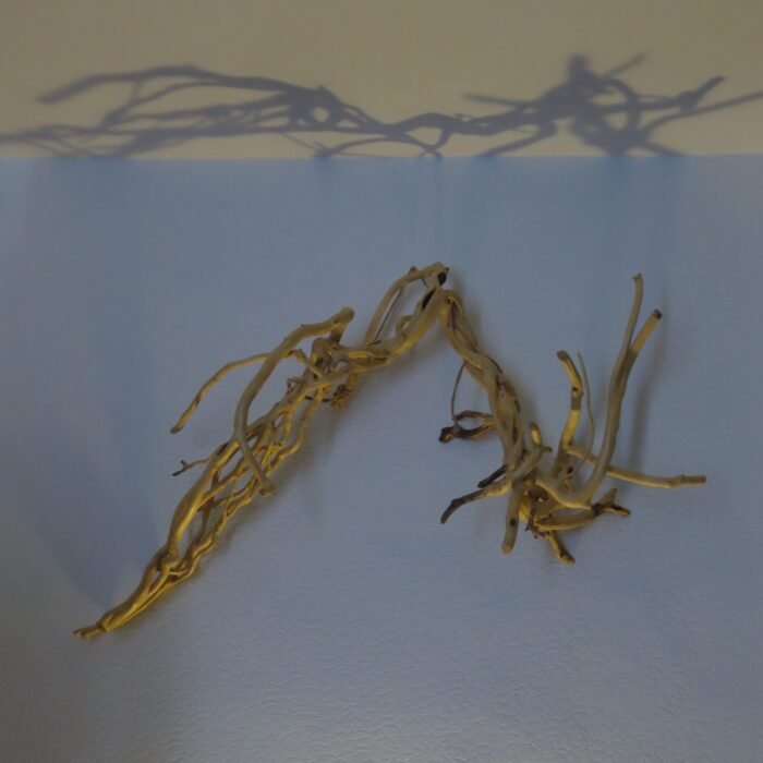 Wall Hanging Bold Shadows A one-of-a-kind versatile wooden sculpture made from Ivy for indoor or outdoor use.
