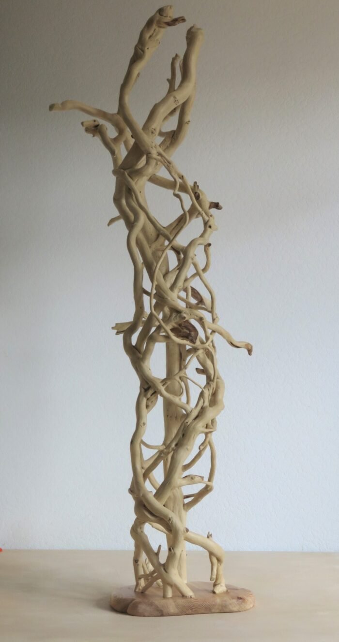 Tall free stranding Ivy on base.) Handcrafted wooden sculpture made from Ivy. Remarkable in its complexity of natural formation.