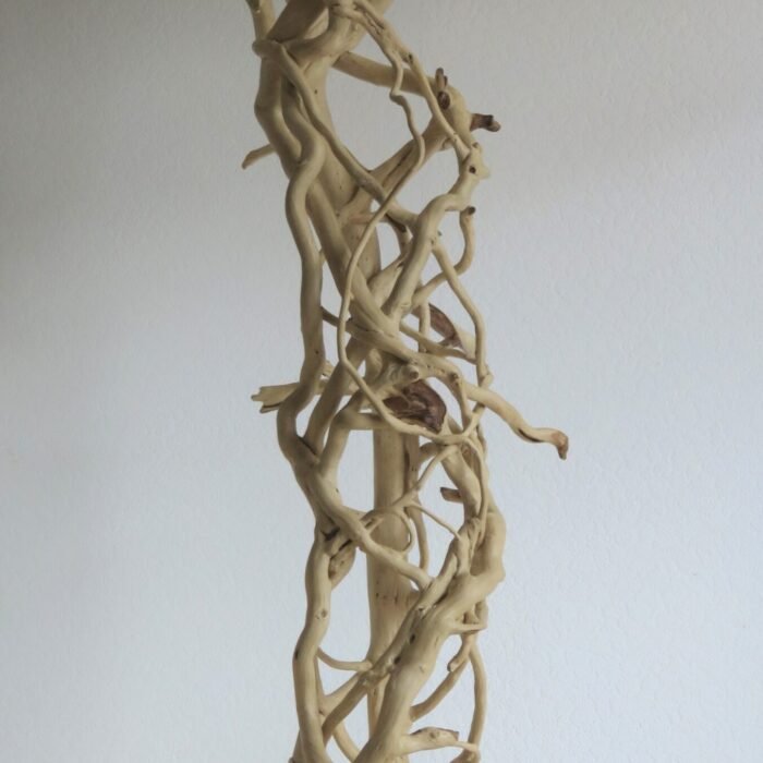 Tall free stranding Ivy on base.) Handcrafted wooden sculpture made from Ivy. Remarkable in its complexity of natural formation.