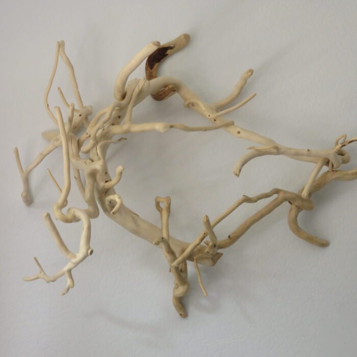 A wall mounted or free standing Ivy wood sculpture
