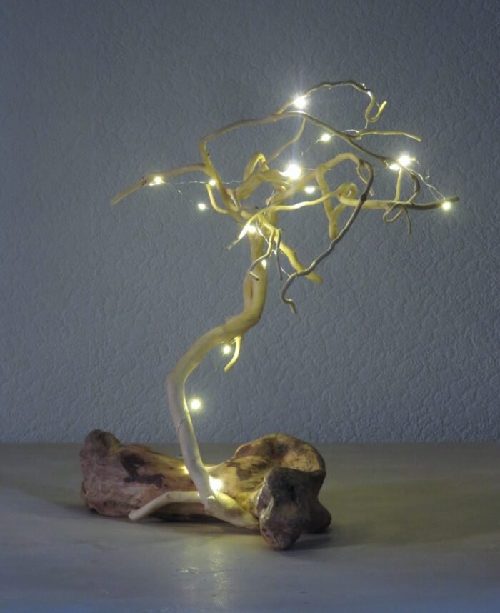 Ivy and driftwood Handcrafted Ivy wood tendrils on a driftwood base, Ideal for displaying trinkets or fairy lights