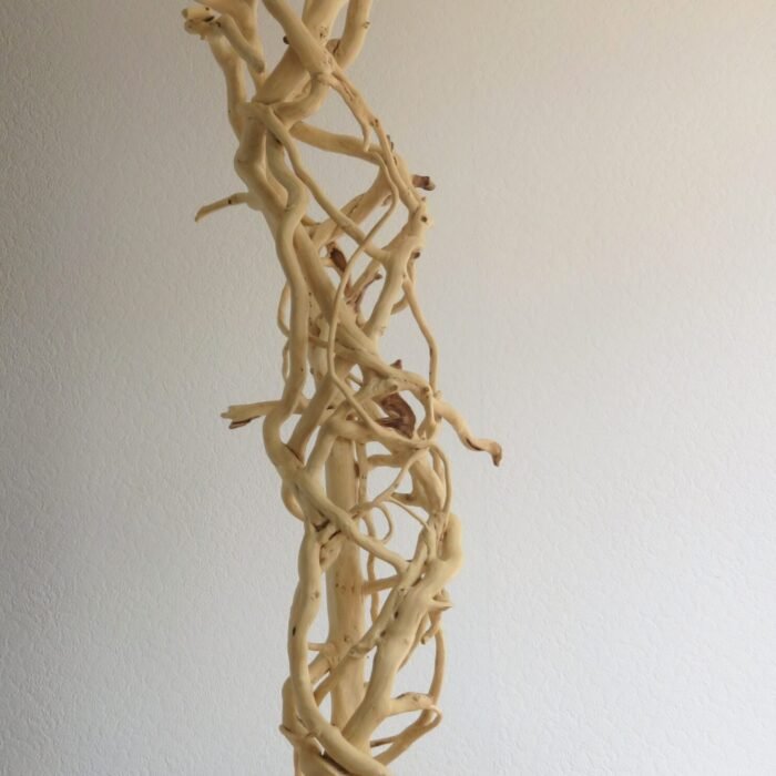 Tall free stranding Ivy on base.) Handcrafted Ivy wooden sculpture. Mounted on a sturdy base that can be rotated.