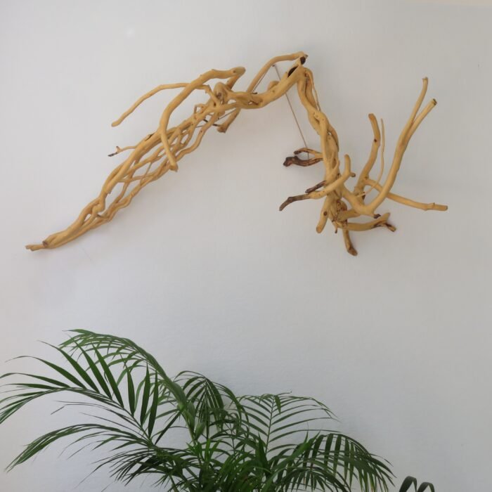Outdoor or indoor Wall Sculpture. A large wooden sculpture made from Ivy, ideal for an alcove to make it a focal poitn.